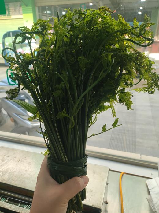 甜蕨菜  500g（今日预定，明日送达，预定商品无品质问题，不退货不换货不退款） 商品图2