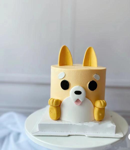 十二生肖异形（合集）（提前3天预订） 商品图11