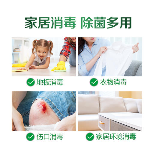 【滴露】滴露松木消毒液 洗衣物家居皮肤伤口多功能消毒水 商品图2