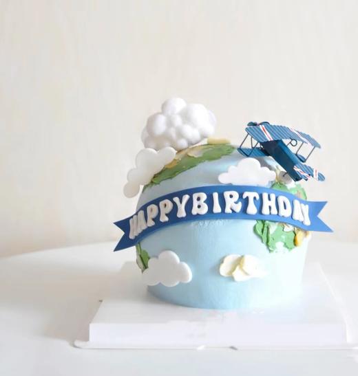 地球（飞机） 商品图0