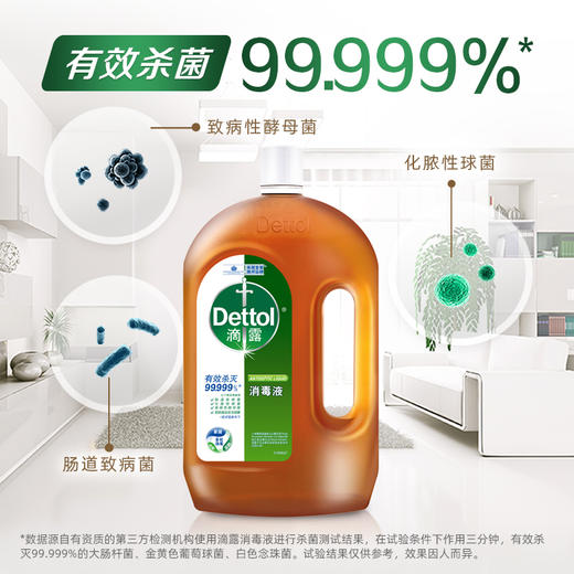 【滴露】滴露松木消毒液 洗衣物家居皮肤伤口多功能消毒水 商品图0