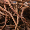 野生太子参 | 合作生产* Wild radix pseudostellariae | Coproduction 商品缩略图0