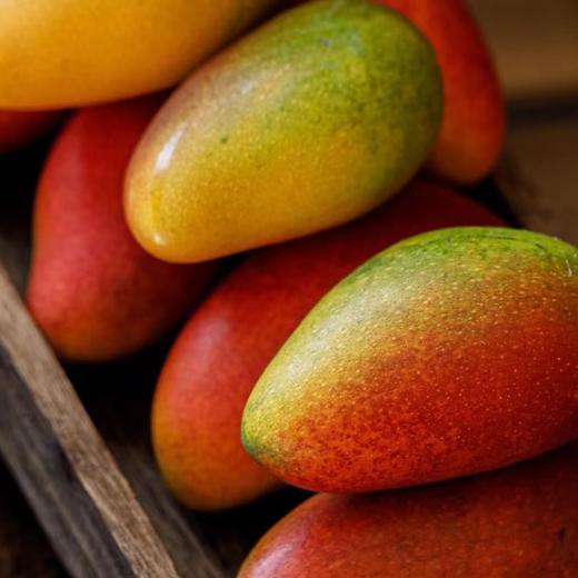 树熟贵妃芒｜海南三亚 商品图0