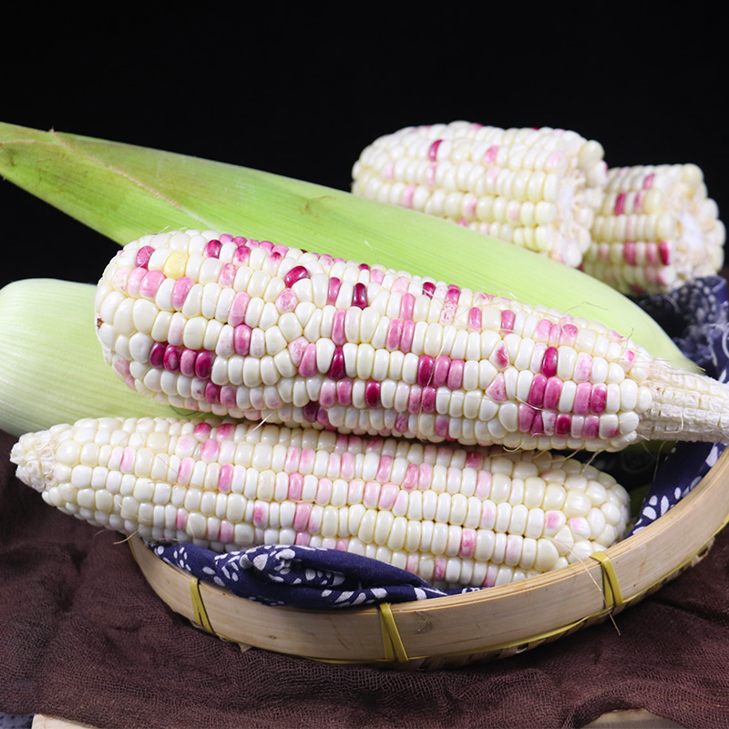 糯包谷（糯玉米） 1000g
