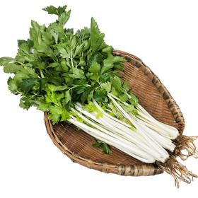 白芹菜 300g