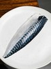 进口挪威原产 野生鲭鱼 青花鱼片  烹饪不需一滴油的“真”挪威青花鱼 商品缩略图1
