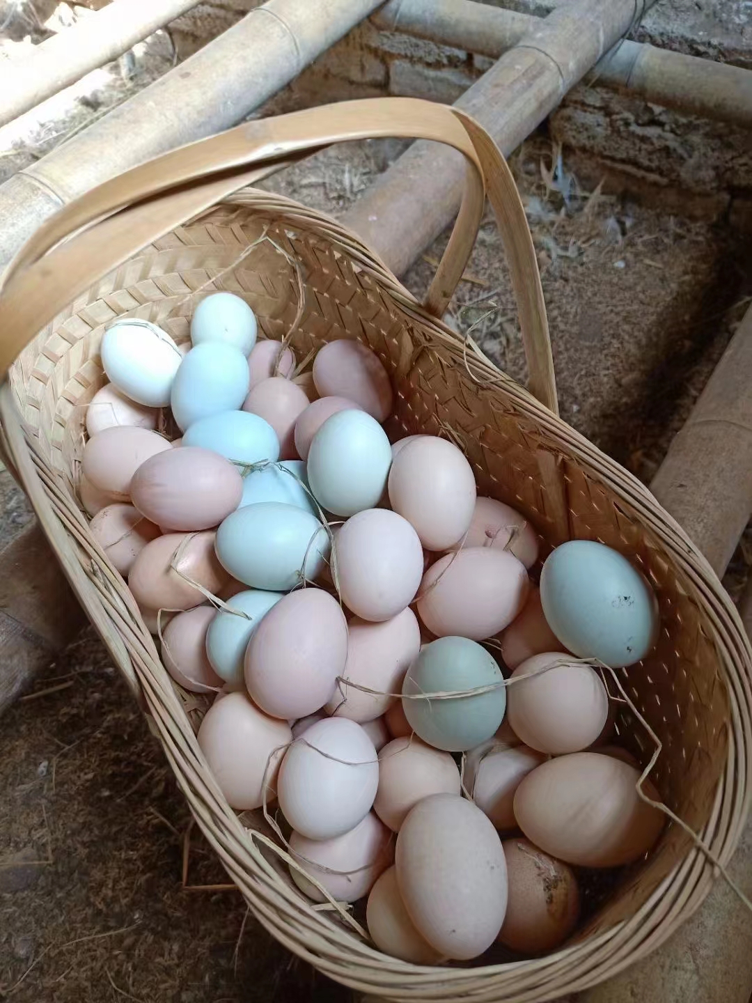 吉耕无公害 散养双拼土鸡蛋/30枚加送10枚/箱