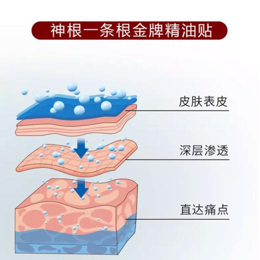 【金门一条根精油贴】源自植物精油，肩颈酸痛一贴缓解，温润呵护，轻松撕贴无残留！（2.8-2.24停发） 商品图2