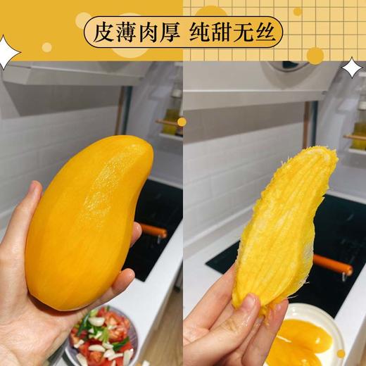 海南金煌芒-5斤家庭装/8斤礼盒装【香甜浓郁 新鲜现发】-包邮到家【水果】HRM 商品图7