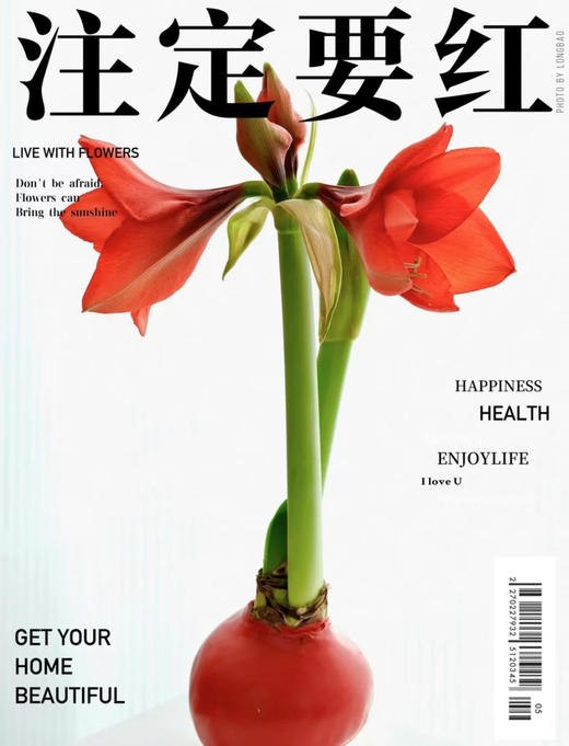 【喝空气生存】国产石蜡朱顶红 红球红花（2026年新包装）单棵 球径约30CM 商品图2