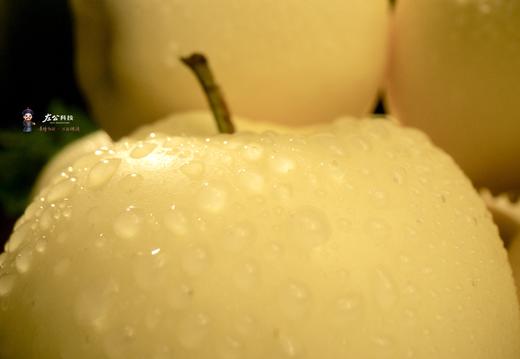 甘肃秦安苹果 黄元帅 酸甜脆爽 商品图1