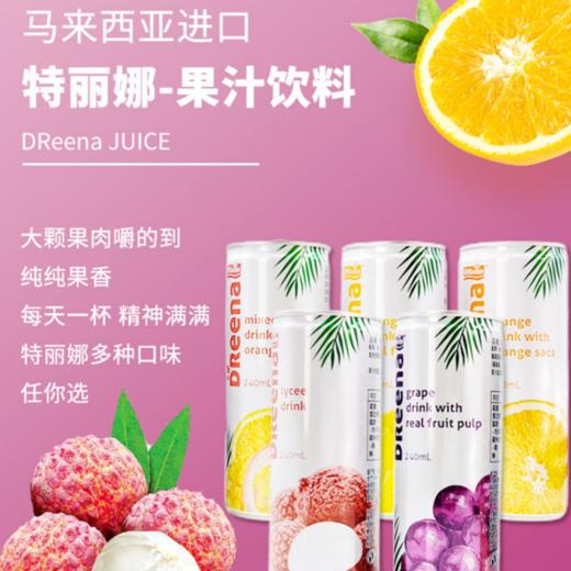 马来西亚特丽娜果汁饮料系列240ml 多口味可选 原汁原味 023184/023185/023186/023187/023188 商品图1