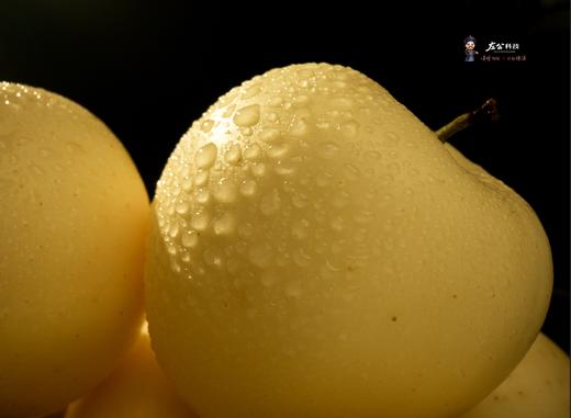 甘肃秦安苹果 黄元帅 酸甜脆爽 商品图2