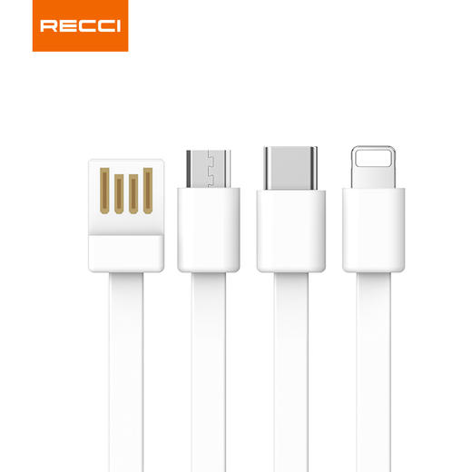 Recci锐思 充电宝超大容量10000毫安数显+自带四线RP01 商品图1