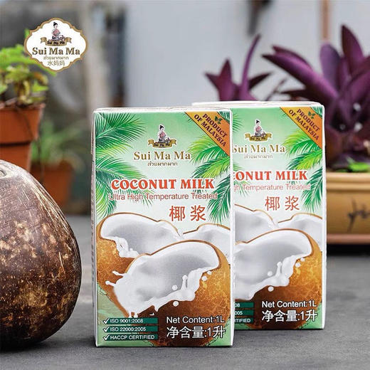 马来西亚进口水妈妈椰浆椰汁1L 商品图0