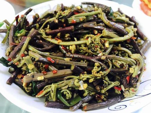 龙爪菜（水发） 500g（今日预定，明日送达，预定商品无品质问题，不退货不换货不退款） 商品图1