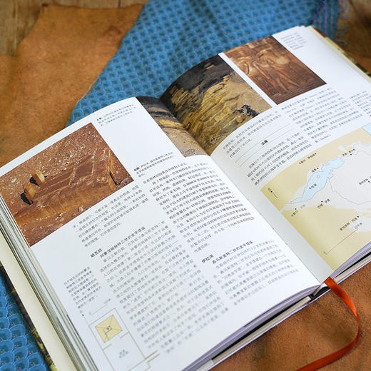 埃及神庙 国际埃及学权威精心编写的神庙大全，国内专家领衔翻译，图文兼备还原上百神庙，结构简明和收录全面之间的绝妙平衡。 商品图3