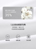 Threegun三枪【匠心系列-120支丝柔皮马棉】无痕U领短袖男衫-22815A221 商品缩略图5