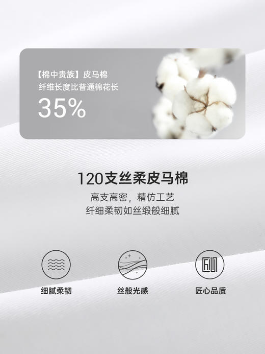 Threegun三枪【匠心系列-120支丝柔皮马棉】无痕U领短袖男衫-22815A221 商品图5