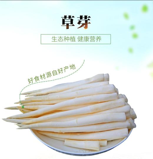 草芽  100g 商品图1