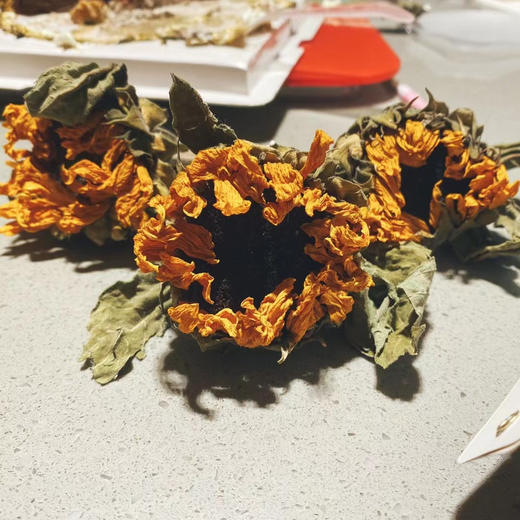 恣意向阳 商品图9