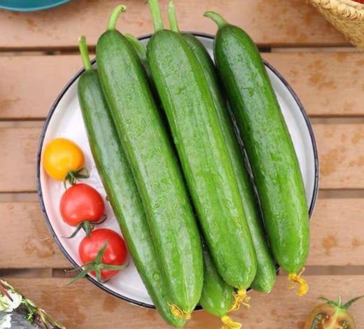 小黄瓜 500g 商品图0