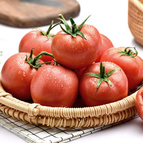 西红柿/番茄 500g（8分熟，大小随机）