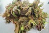 香椿 500g（今日预定，明日送达，预定商品无品质问题，不退货不换货不退款） 商品缩略图0