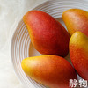 海南树上熟贵妃芒  皮薄肉厚 不催熟 4斤中果/4斤小果礼盒装 下单后72h内发货【Y】 商品缩略图1