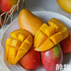 海南树上熟贵妃芒  皮薄肉厚 不催熟 4斤中果/4斤小果礼盒装 下单后72h内发货【Y】 商品缩略图2
