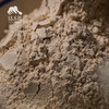 野生山药粉（申通）| 合作生产*Wild Yam Powder | Coproduction 商品缩略图2