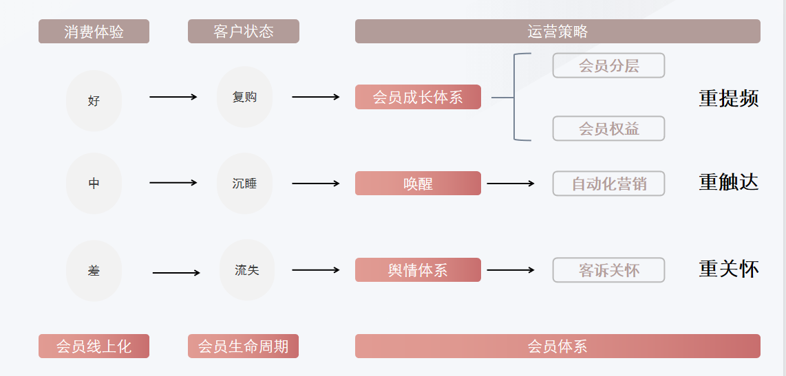 会员分级