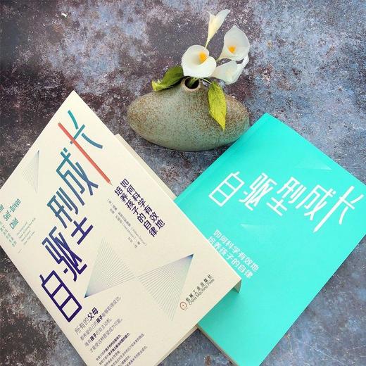 自驱型成长：如何科学有效地培养孩子的自律 商品图4