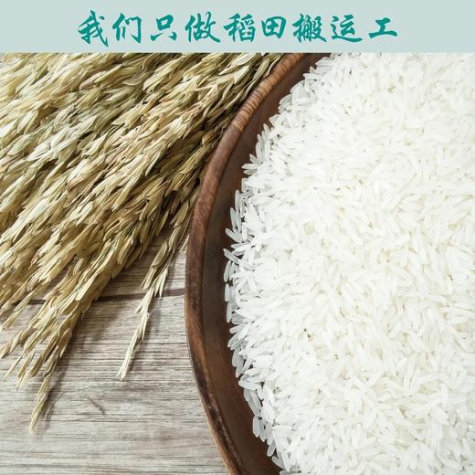 荆裕优选长粒香米真空5kg/袋 商品图5