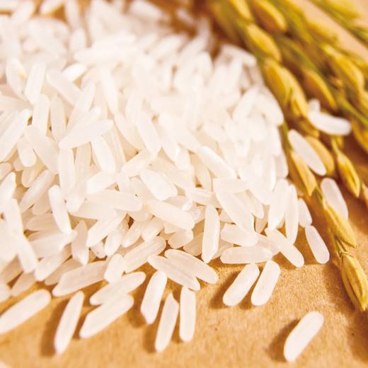 荆裕优选长粒香米真空5kg/袋 商品图3