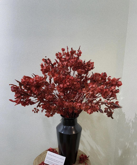 【年花】迎客豆  干花    红色/橙色 若干枝/扎 商品图3