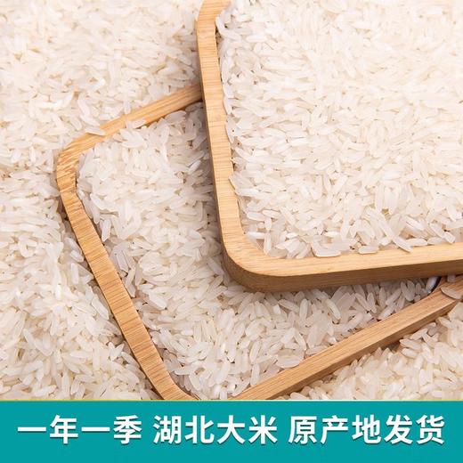 荆裕优选长粒香米真空5kg/袋 商品图2