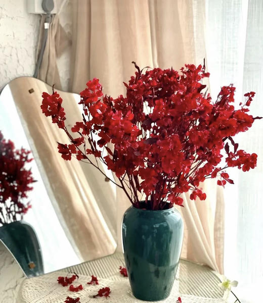 【年花】迎客豆  干花    红色/橙色 若干枝/扎 商品图1