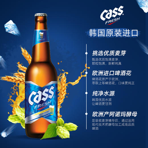 凯狮啤酒清爽烤肉炸鸡烧烤必搭330ml/瓶韩国原装进口 商品图4