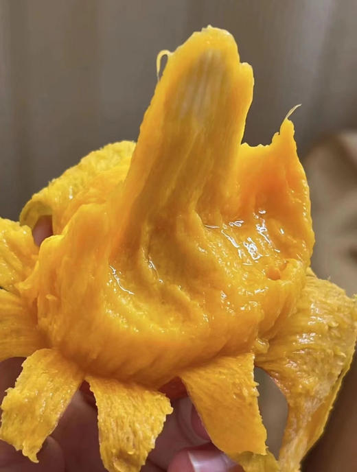 三亚✈️树熟贵妃芒🥭 商品图11