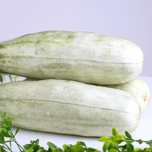 【山东.博洋61号羊角蜜瓜】果香浓郁，清甜脆爽，甘甜多汁，瓜肉香甜脆，瓜汁似蜜糖～ 商品图4