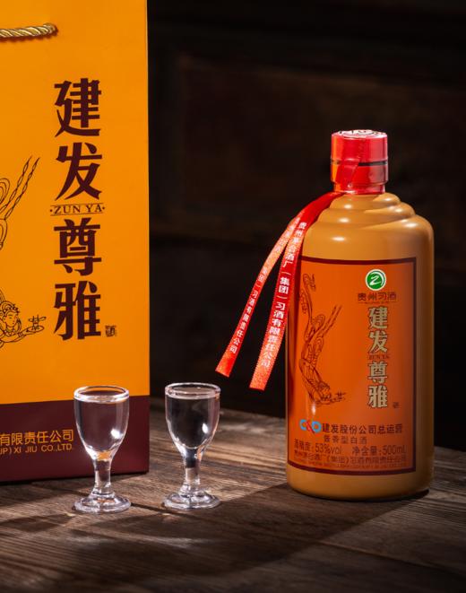 建发尊雅（2022）  53度  500ml/瓶*6瓶 商品图2