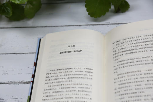 飞行员之死/大英图书馆侦探小说黄金时代经典作品集第二辑 中国青年出版社 商品图3