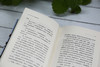 飞行员之死/大英图书馆侦探小说黄金时代经典作品集第二辑 中国青年出版社 商品缩略图2
