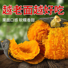 山东农特产贝贝南瓜