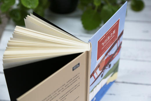 飞行员之死/大英图书馆侦探小说黄金时代经典作品集第二辑 中国青年出版社 商品图1