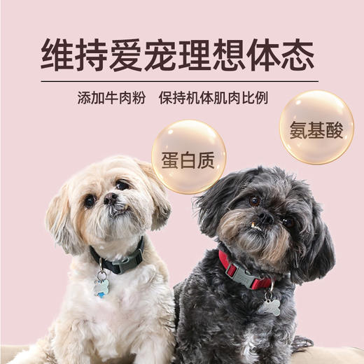 金多乐全价成幼犬粮5kg/10kg 商品图2
