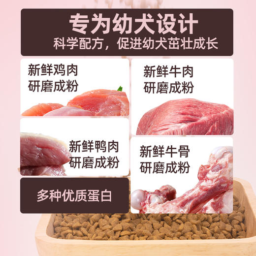 金多乐全价成幼犬粮5kg/10kg 商品图3