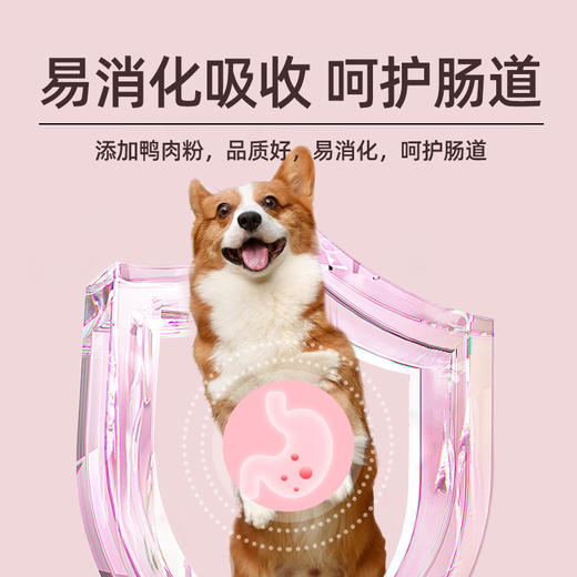 金多乐全价成幼犬粮5kg/10kg 商品图5