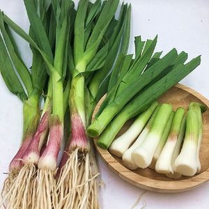 蒜叶（蒜苗） 200g